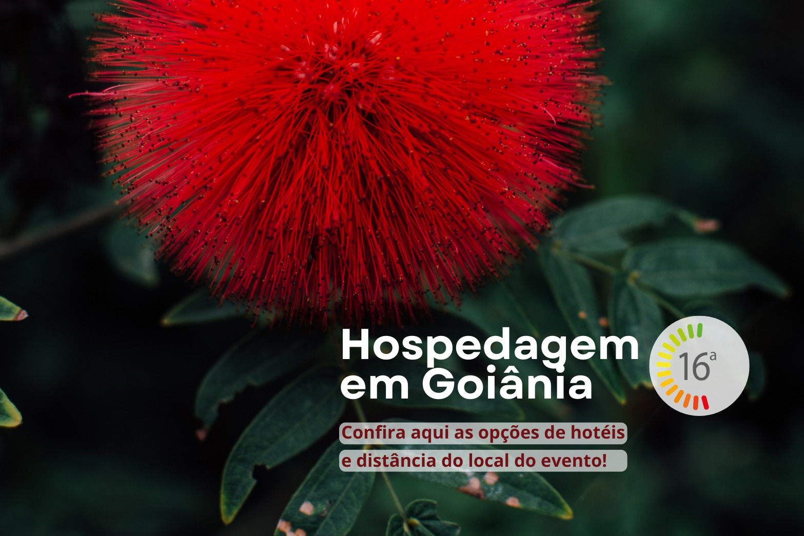 Hospedagem em Goiânia (GO)